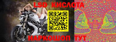 a pvp Ставрополь