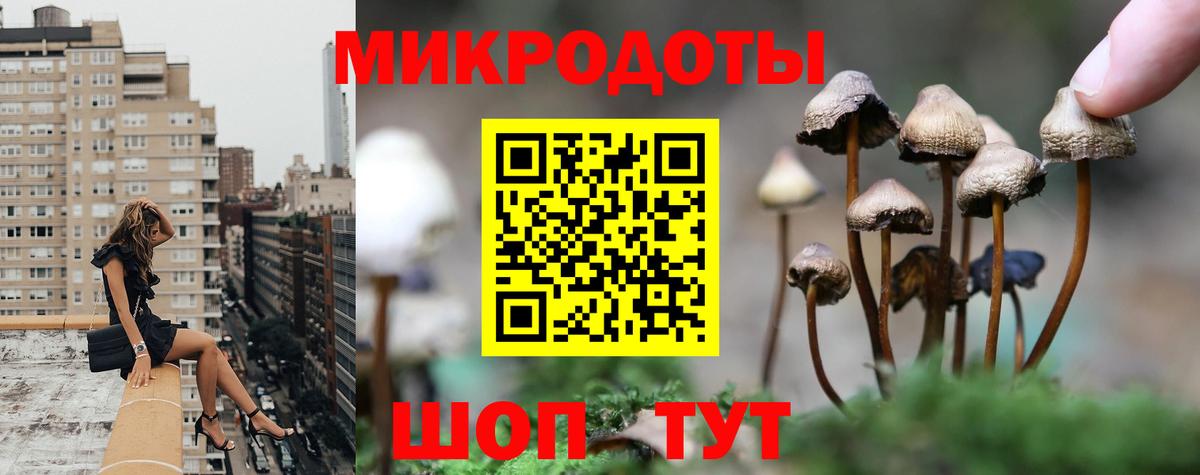 Галлюциногенные грибы Psilocybe Похвистнево