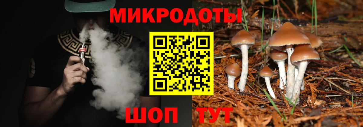 Галлюциногенные грибы Magic Shrooms  Псилоцибиновые грибы мицелий  Похвистнево  Вход с VPN 